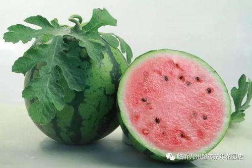 吃瓜qq入口网红是谁,她是如何成为网络红人的？”