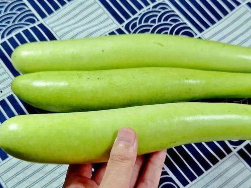 一网红讲吃瓜,揭秘吃瓜界的那些事儿