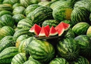 888su吃瓜网改名字,揭秘全新网络娱乐平台风采