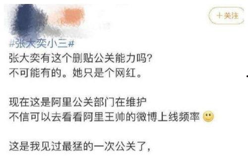 网红ceo吃瓜结果,揭秘幕后真相与行业反思