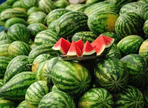 兴宁网红钟某艳吃瓜号