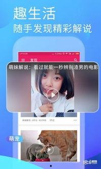 网暴吃瓜app,揭秘网络暴力背后的真相与反思