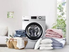 台北娜娜洗衣机吃瓜网,揭秘网红家电背后的吃瓜故事