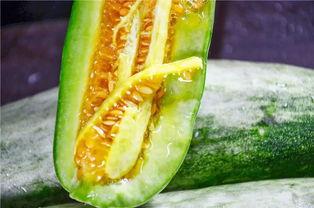 都有哪些网红吃瓜,盘点那些热门话题背后的幕后故事