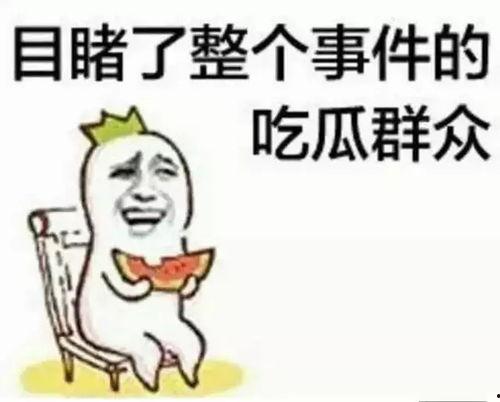 网评吃瓜群众,吃瓜群众热议娱乐圈风云