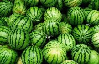 dy网红吃瓜群,揭秘娱乐圈幕后故事