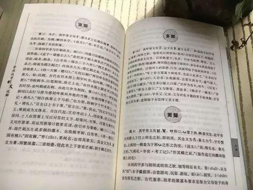吃瓜群众的自我修养txt趣书网,趣书网揭秘自我修养之道