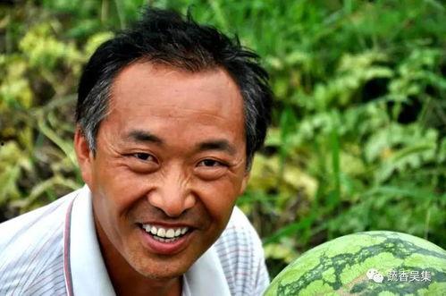 农林吃瓜百度网盘,揭秘百度网盘的绿色生态之旅