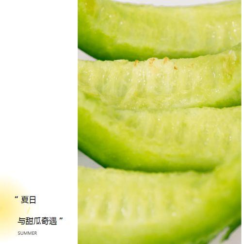 溧阳网红吃瓜事件,一场网络舆论的风暴与反思