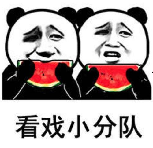 找网红搞笑吃瓜表情包,趣味横生的网络狂欢