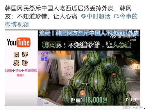 韩网吃瓜的网站,揭秘娱乐圈最新吃瓜事件幕后真相