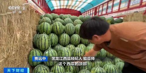 缅北吃瓜网,吃瓜网带你探秘缅北热点事件