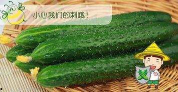 吃瓜网是黄色吗