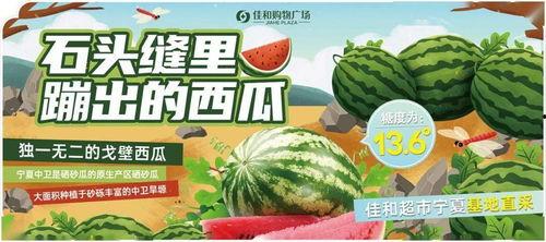 每日吃瓜大赛官网入口,揭秘娱乐圈幕后风云，尽享娱乐盛宴