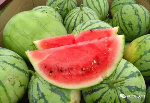 15吃瓜今日线路爆料网,今日热门线路大揭秘