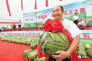 亿洲城吃瓜大赛官网入口,揭秘年度热门瓜界盛事精彩瞬间