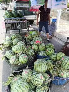 台州网红吃瓜事件视频