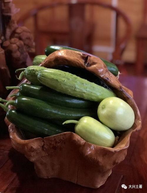 湛江网红吃瓜,揭秘当地美食文化新潮流