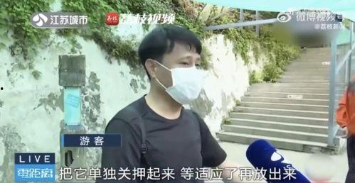 网红霸凌吃瓜男友视频