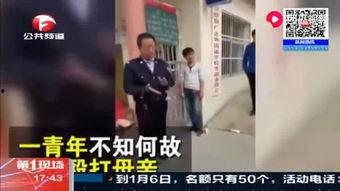吃瓜网红打架事件视频,视频曝光惊人一幕