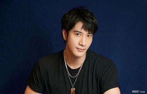 王力宏吃瓜网,揭秘娱乐圈背后的真相与争议