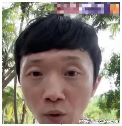 网红吃瓜爆料秃崽
