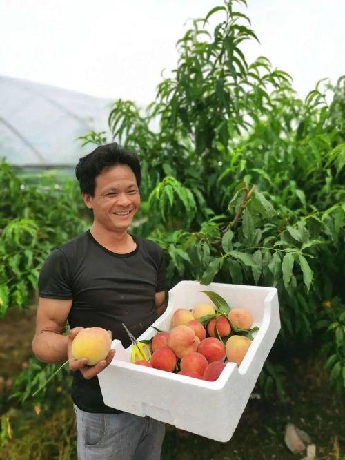 1元吃瓜网红,网红吃瓜界的传奇崛起