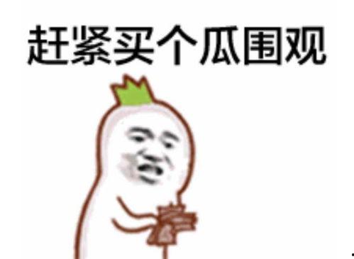 网红吃瓜摇头表情包,揭秘网络潮流背后的文化现象