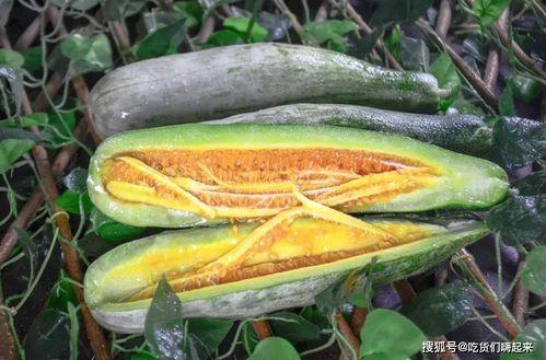 网红吃瓜视频地址,揭秘幕后真相，带你领略网络红人的真实生活