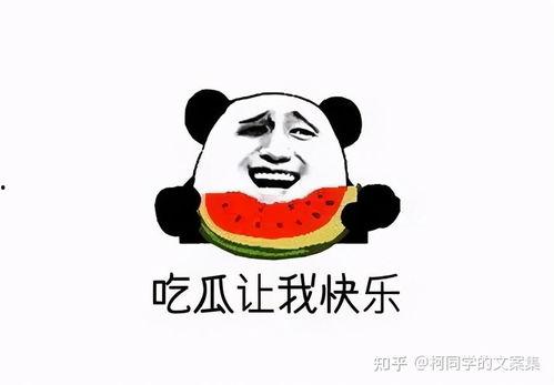 网红吃瓜文案短句搞笑,笑料横飞，文案短句带你领略欢乐盛宴